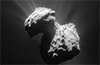 Rosetta’s comet has the right ingredients for life